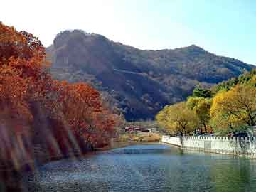 新澳天天开奖资料大全旅游团，重生洪荒类小说